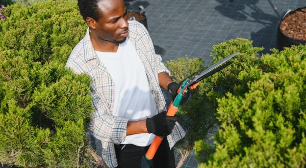 Aménagement et entretien des espaces verts Aménagement et entretien des espaces verts