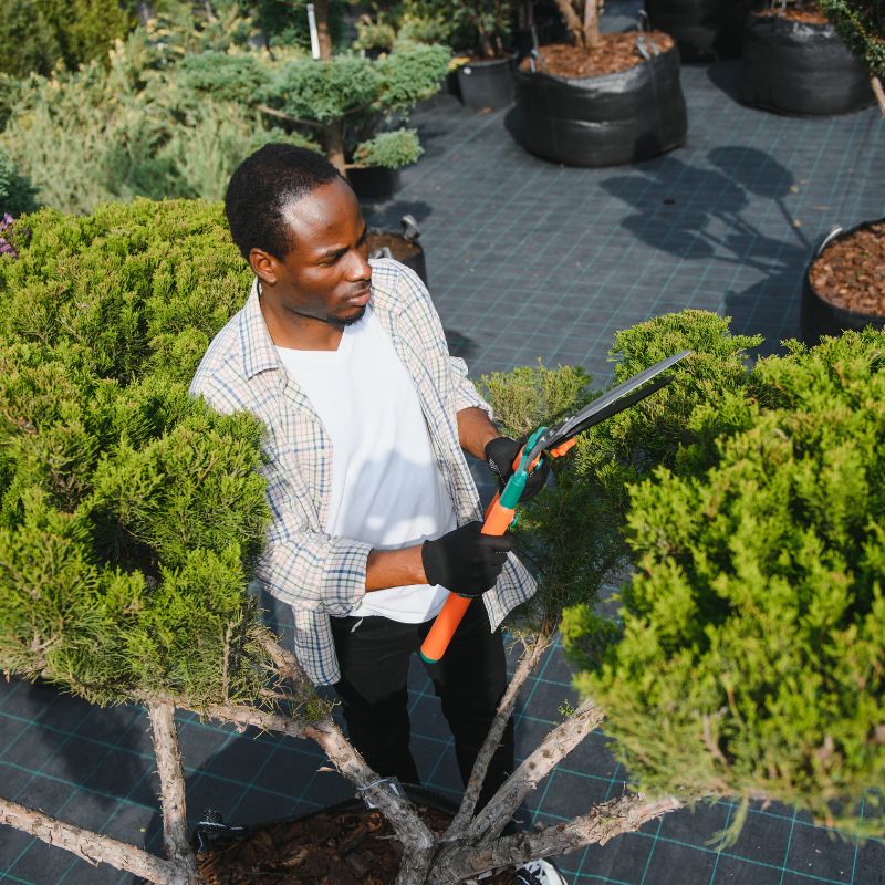 Aménagement et entretien des espaces verts
